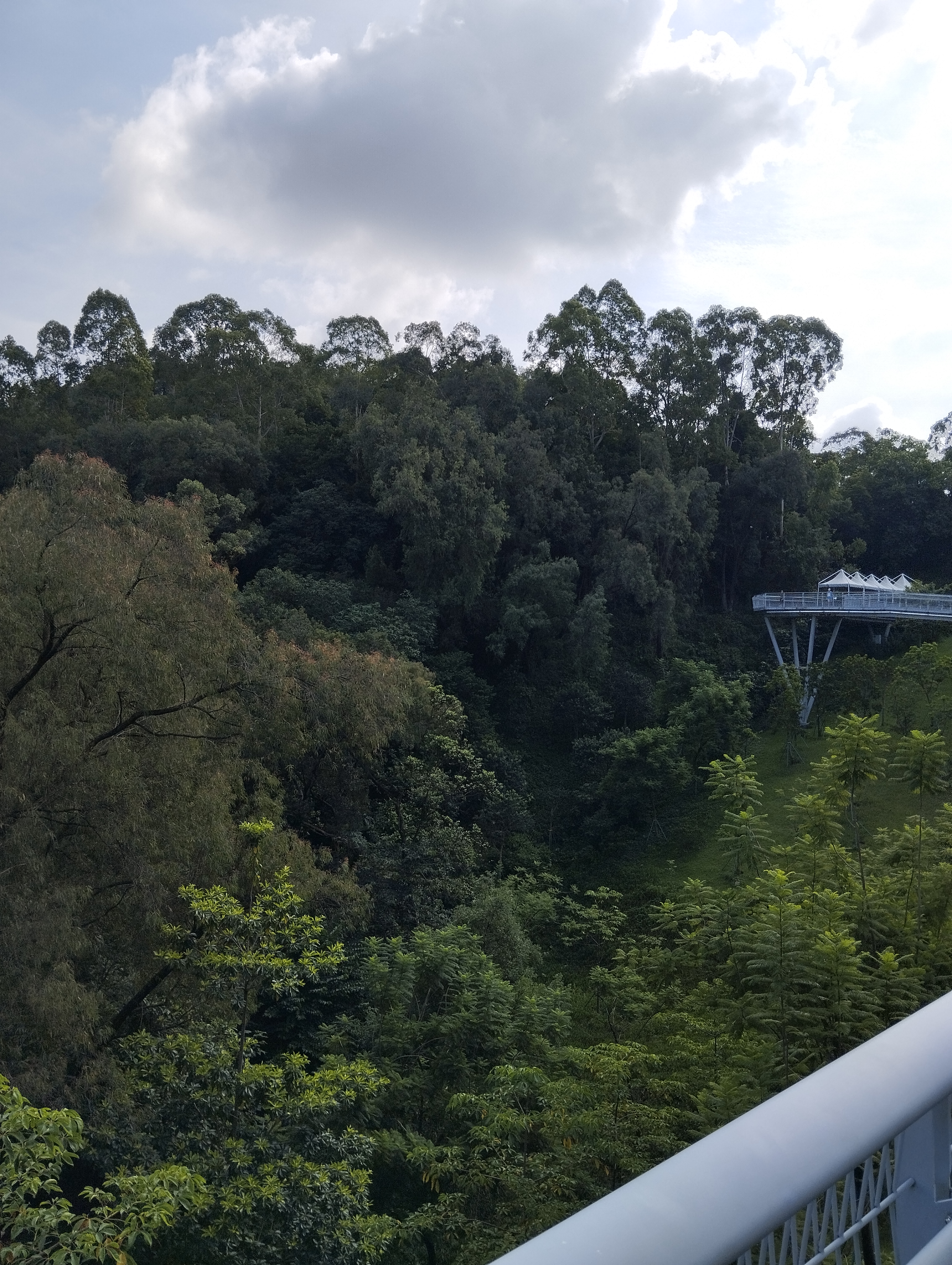 The beautiful park near the hotel with lush trees