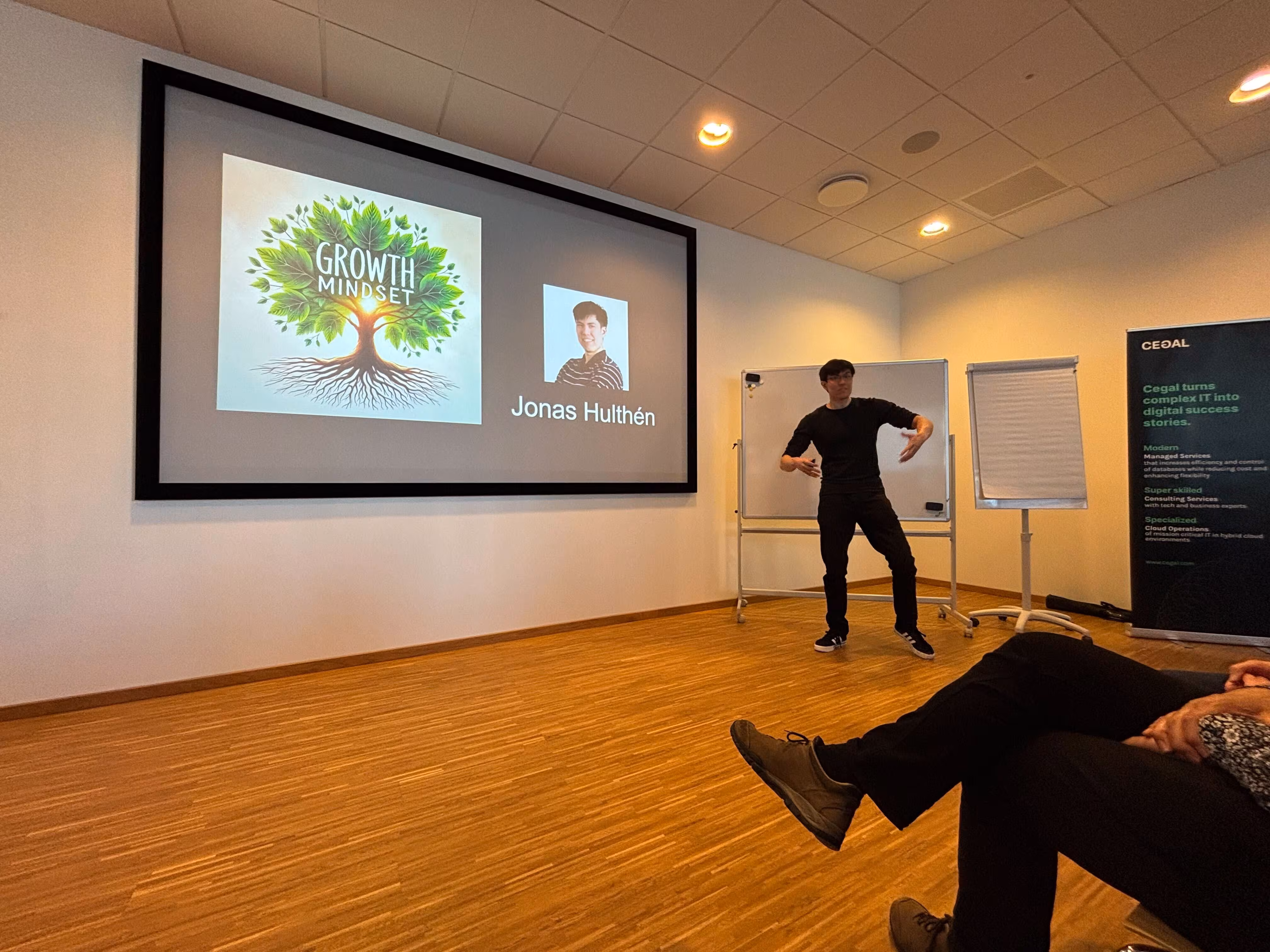 Jonas speaking at Oracle APEX Nordic Tour